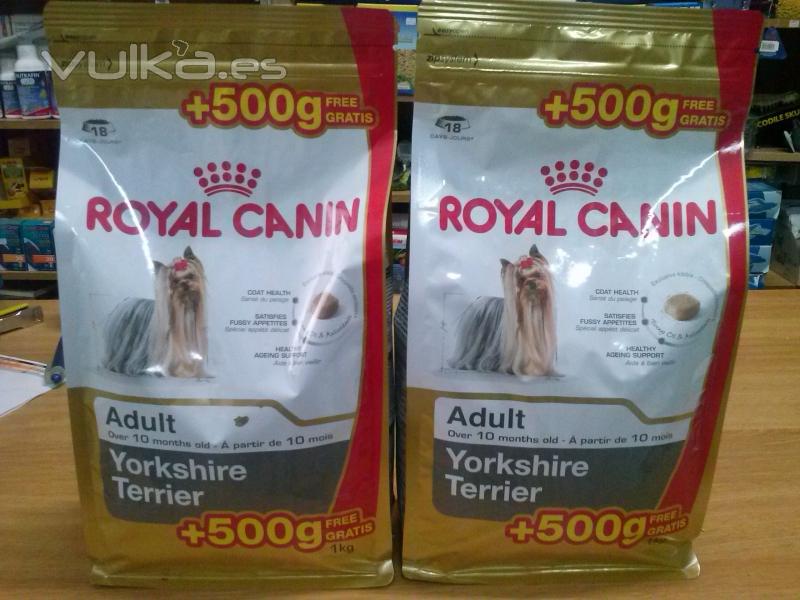 Aprovecha esta oportunidad y llévate tu saco de pienso royal canin de un 1kg ¡¡más 500g gratis!!