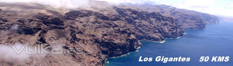 Excursion en helicoptero,Los Gigantes,Echeyde Tours