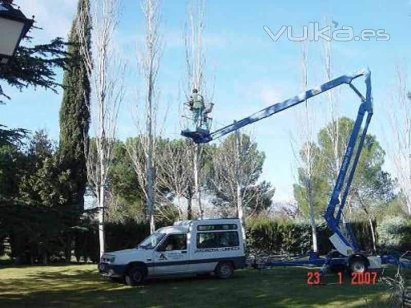Mantenimiento de parques y Jardines en Valladolid