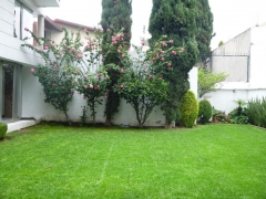 Césped en perfecto estado de conservación