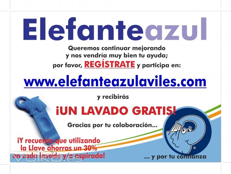 Sitio Web de los Centros de lavado Elefante Azul de Avils, un punto de encuentro.