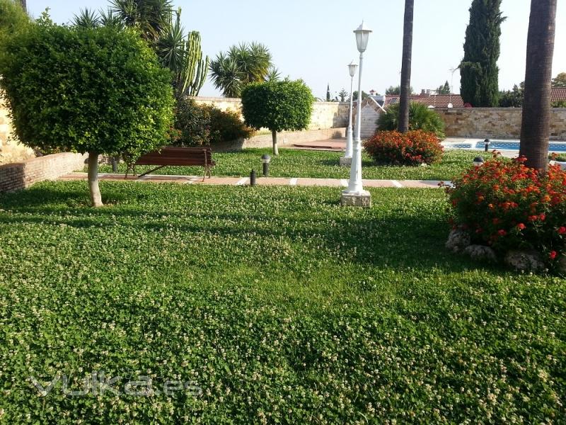 Mantenimiento de jardines