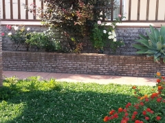 Jardineria