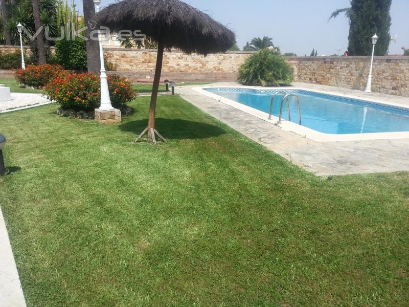 Mantenimiento de jardines y piscinas