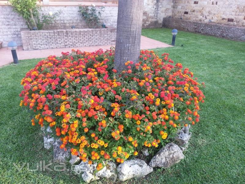 Jardinera-JardinesdelSur.es