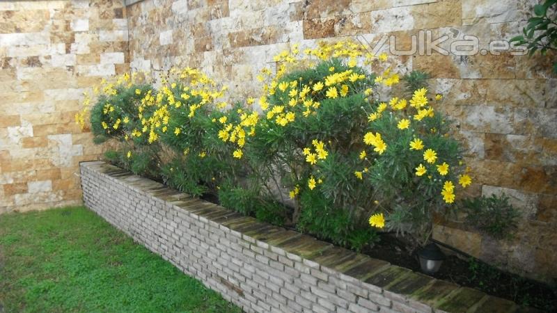 Mantenimiento de Jardines en Sevilla