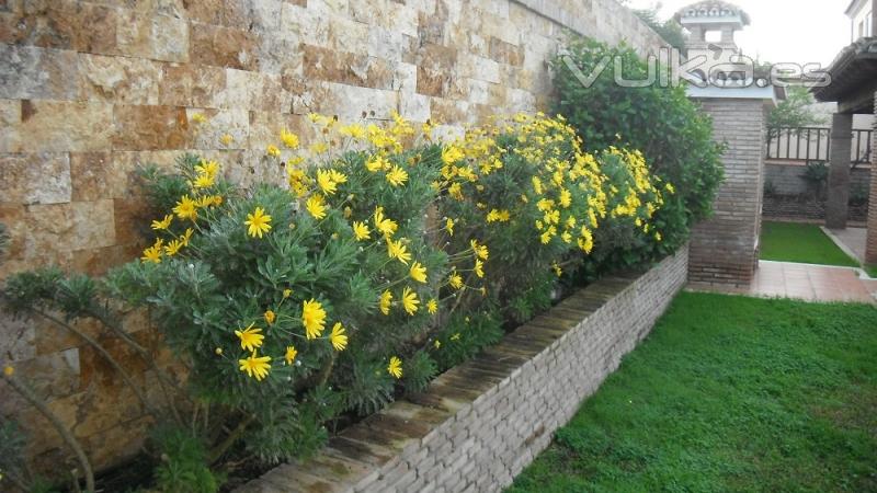 Mantenimiento de Jardines en Sevilla