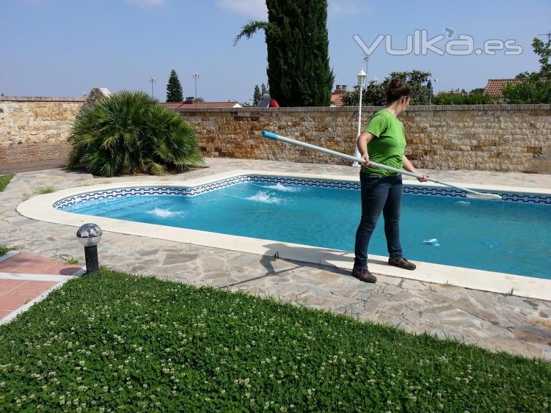 mantenimiento de jardines y piscinas en Sevilla