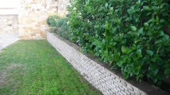 Jardineria mantenimiento sevilla