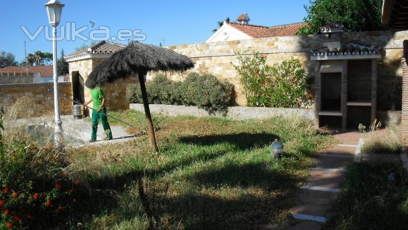 Jardineria - Puesta a punto - Rejabilitacion de jardines