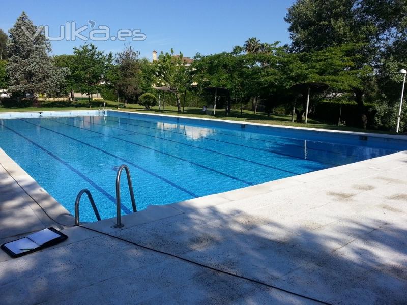 piscina y jardin