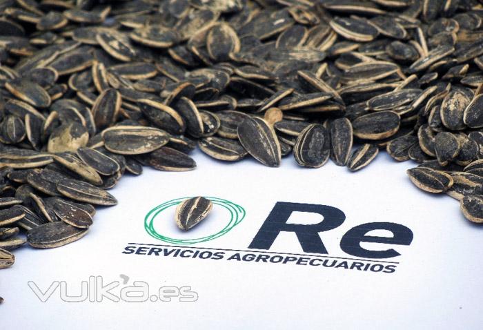 Re Servicios Agropecuarios - Identidad - Impresin - Web - SystemIdea