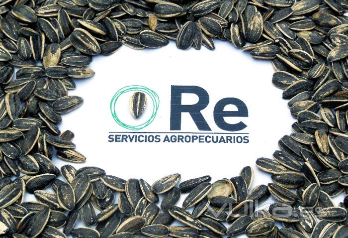 Re Servicios Agropecuarios - Identidad - Impresin - Web - SystemIdea