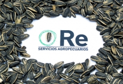 Re servicios agropecuarios - identidad - impresion - web - systemidea