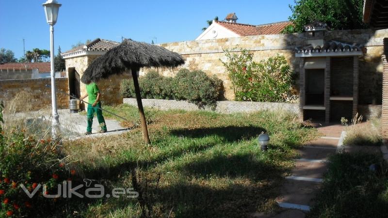 Rehabilitación del jardin