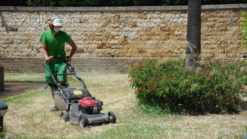 Rehabilitacin del jardin