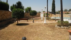 Rehabilitacion del jardin