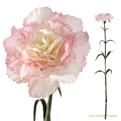 Flores artificiales flor clavel artificial rosa 55 1 - la llimona home