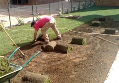 Plantacion de cesped natural de tepes