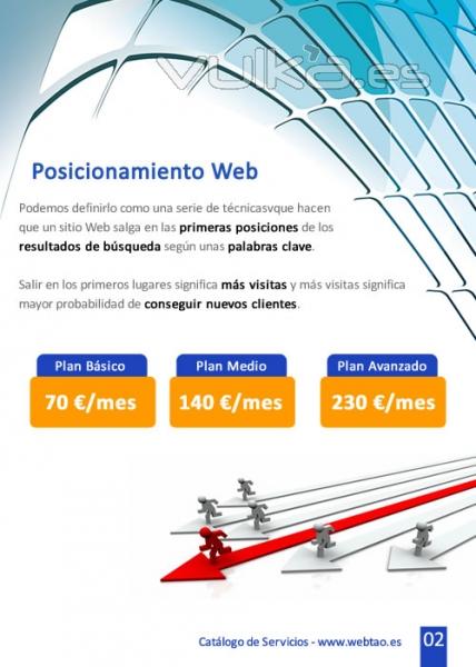 Posicionamiento Web