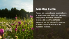 Mercaextremadura