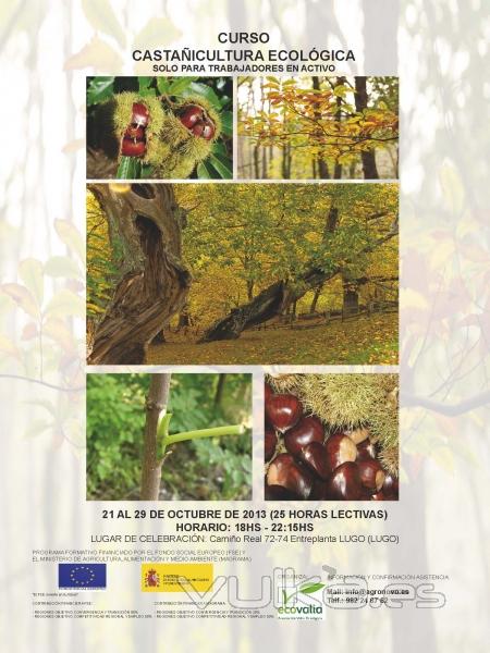 Cartel del curso de Castaicultura ecolgica