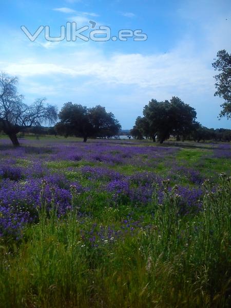 paisaje de la Comarca