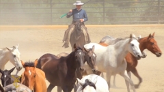 Video eventos