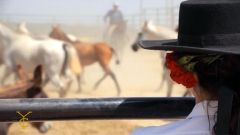 Video espectaculos