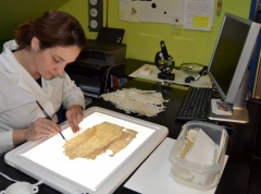 Restauración de documento manuscrito