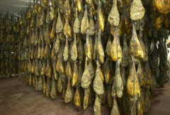 Proceso de elaboracion de los jamones ibericos de adra pata negra
