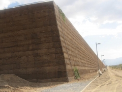 Muro verde o muro ecologico