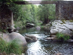 Arroyoriquejo - Foto 16