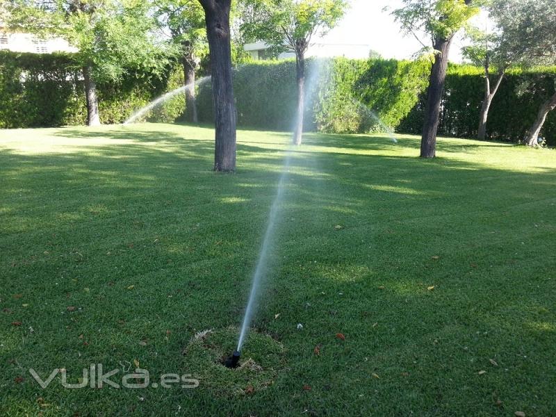 Jardines del sur. Jardinera Sevilla. Jardineros. 