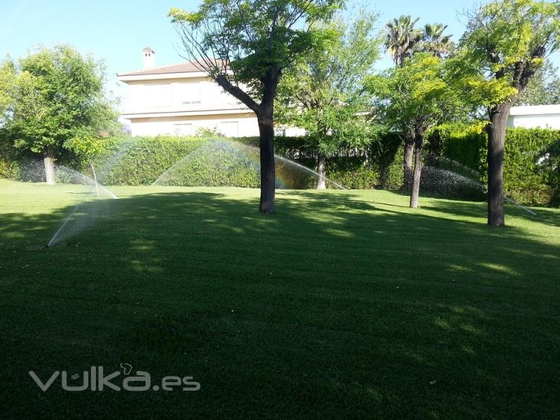 Jardines del sur. Jardinera Sevilla. Jardineros. 