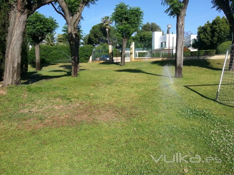 Jardines del sur. Jardinera Sevilla. Jardineros. 