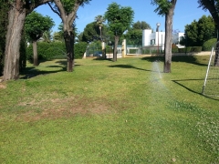 Foto 245 ornamentación de jardines en Sevilla - Jardines del sur Jardineria Sevilla Jardineros