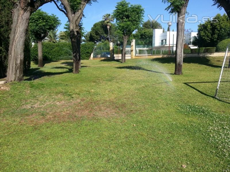 Jardines del sur. Jardinera Sevilla. Jardineros. 