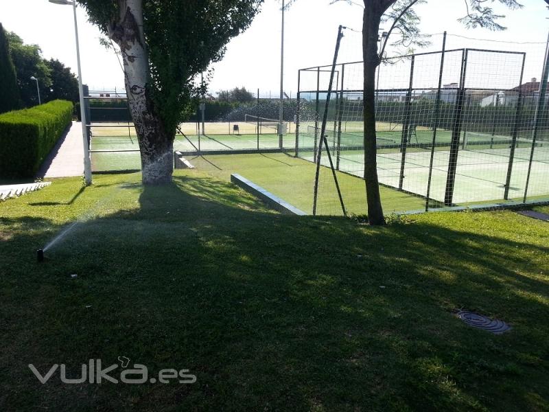 Jardines del sur. Jardinería Sevilla. Jardineros. 