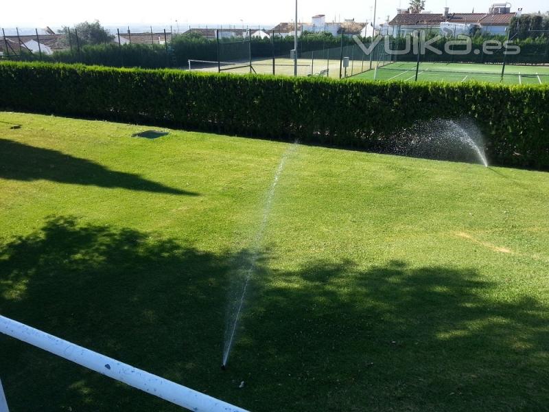 Jardines del sur. Jardinera Sevilla. Jardineros. 