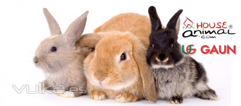 Amplia gama de productos para conejos, rabbits, lapins