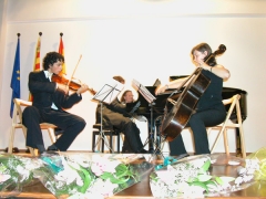 concierto en Ibiza