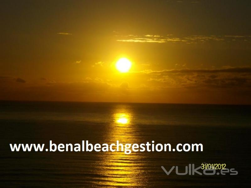 BENALBEACHGESTION.COM