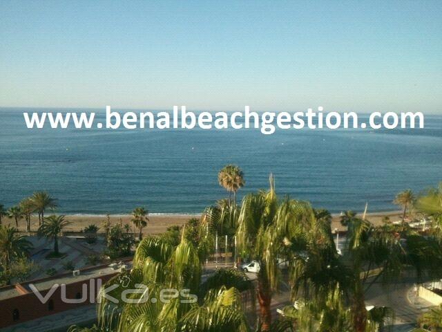 BENALBEACHGESTION.COM