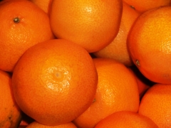 Mandarinas variedad clemenules