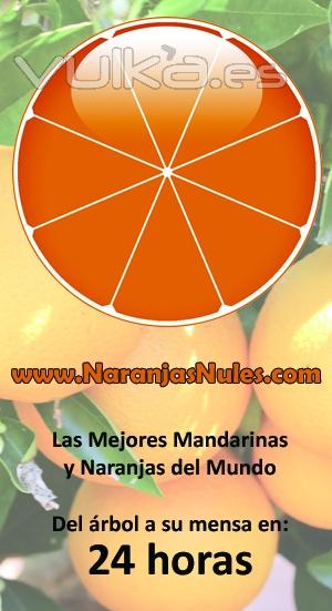 Compra tus naranjas y mandarinas en www.naranjasnules.com