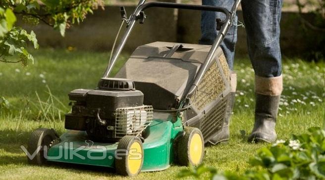 Mantenimiento de jardines en Mlaga y Costa del Sol.