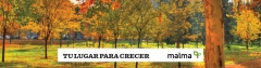 Wwwinmobiliariachicocomar diseno y desarrollo systemidea