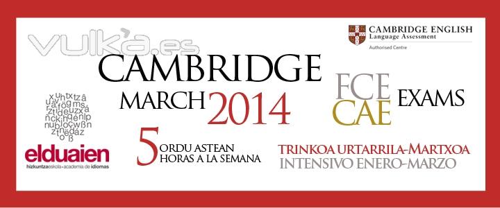 Cambridge Intensive courses January-March 2014