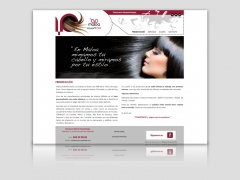 Diseno y programacion de la pagina web para la peluqueria maloa